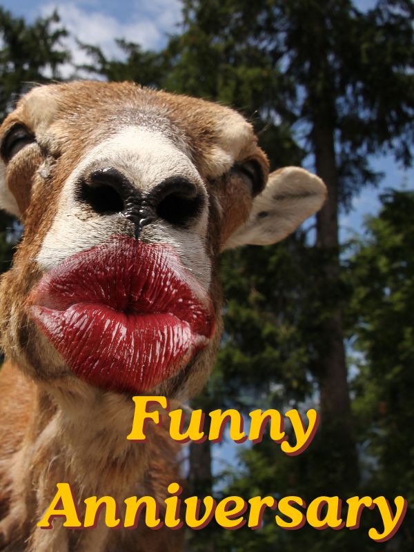 Funny Anniversary Quotes
